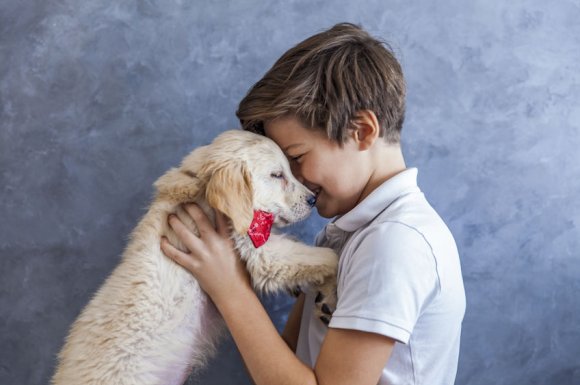 Restaurant animaux acceptés